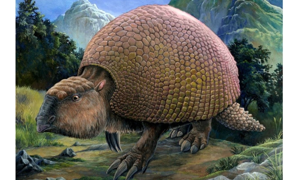 El gliptodonte medía alrededor de tres metros y pesaba cerca de 1.500 kilos.