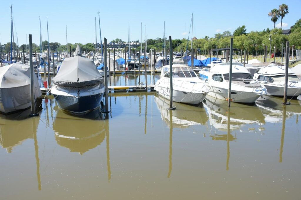 ARBA San Fernando Embarcaciones Lujo Sin Declarar