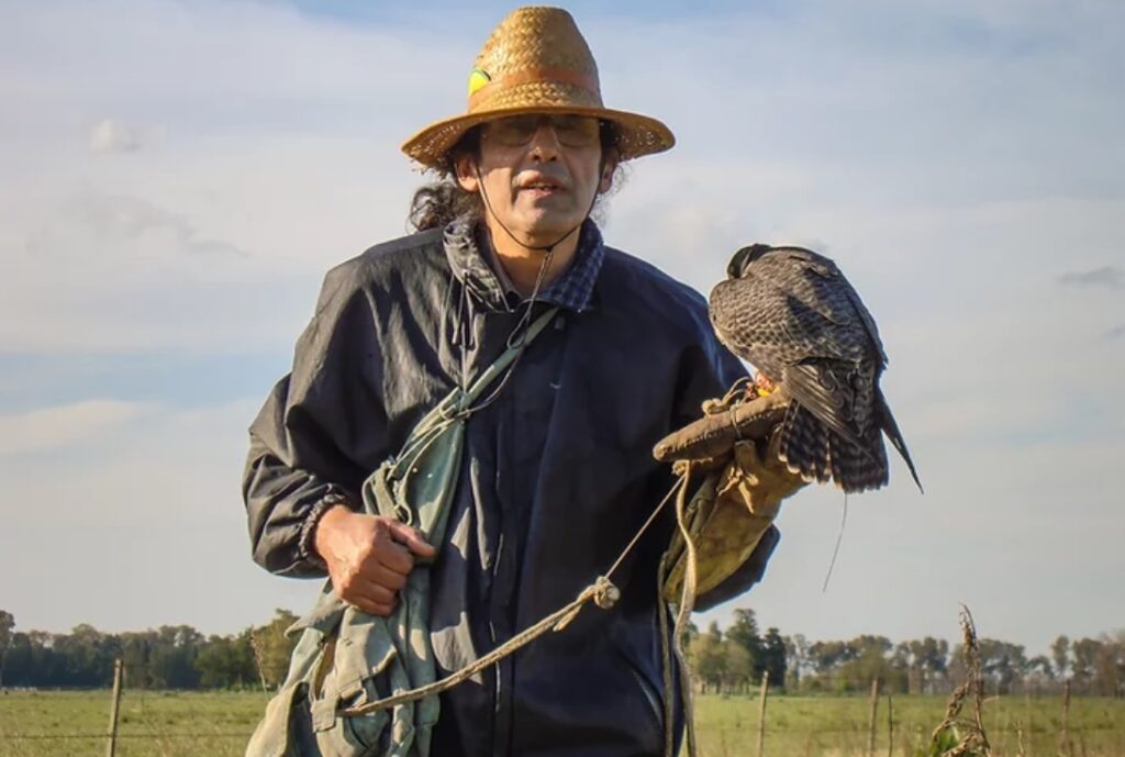 Entrenar halcones, los secretos y las ventajas de un arte milenario que sigue vigente en Quilmes