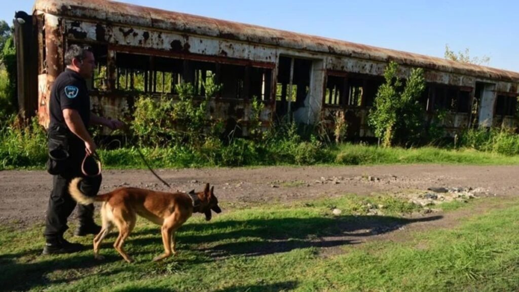 Betiana Rossi Búsqueda Perros Drones Villa Real Tres de Febrero