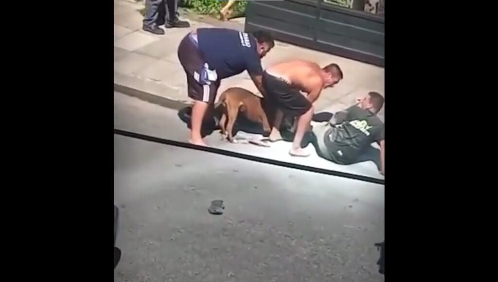 Un hombre fue ferozmente atacado por un pitbull en Hurlingham.