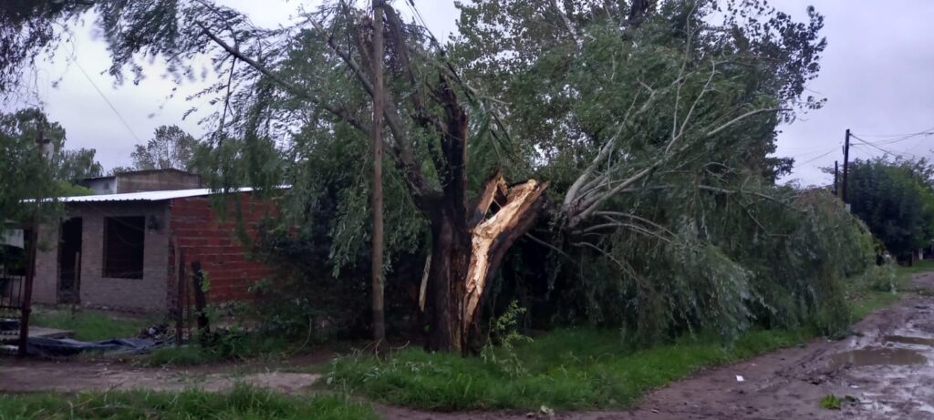 Confirman que un tornado castigó a Florencio Varela y dan detalles de los destrozos