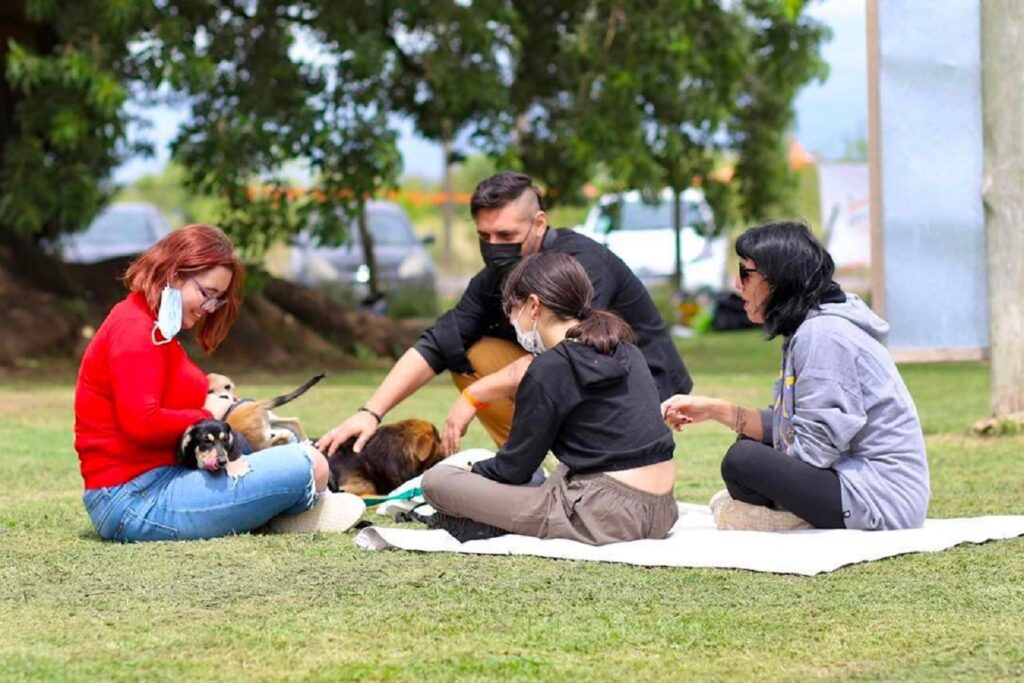 Una ONG de Monte Grande lanzó el primer Tinder de mascotas del país: cómo funciona