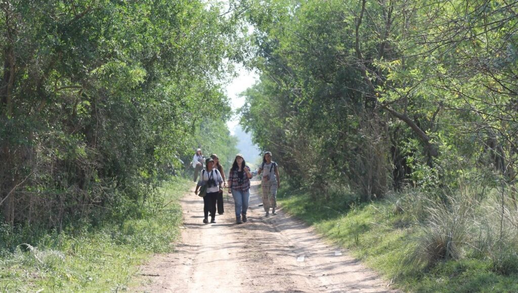 Cómo es y qué se puede hacer en El Camino de las Flores, la reserva natural de Longchamps que pasó a ser protegida por ley