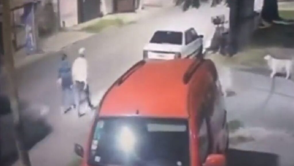 Tremendo video en Lanús: la atropelló un auto, sobrevivió de milagro y ahora pide ayuda para encontrar al conductor