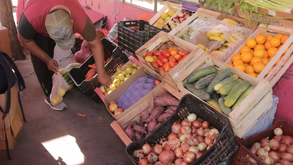 Los Mercados Bonaerenses llegan a Morón con grandes descuentos en alimentos: los lugares donde estarán esta semana y la lista de precios que ofrecerán