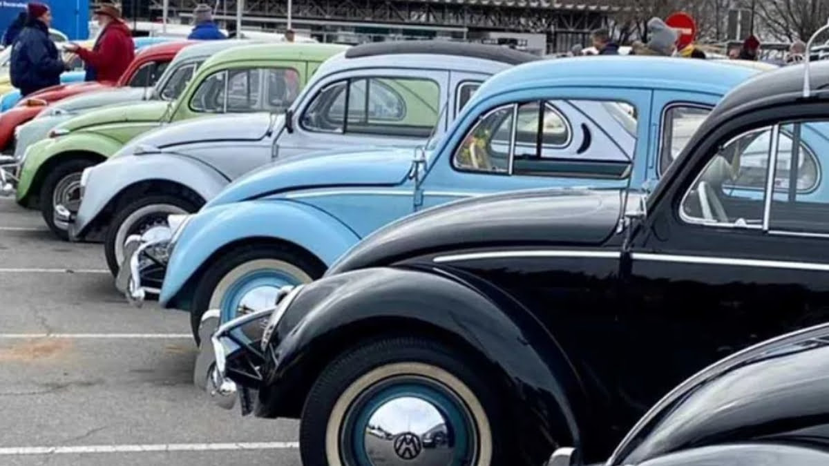 Los escarabajos de Volkswagen serán el atractivo central de la expo que se realizará en el Hipódromo de San Isidro.