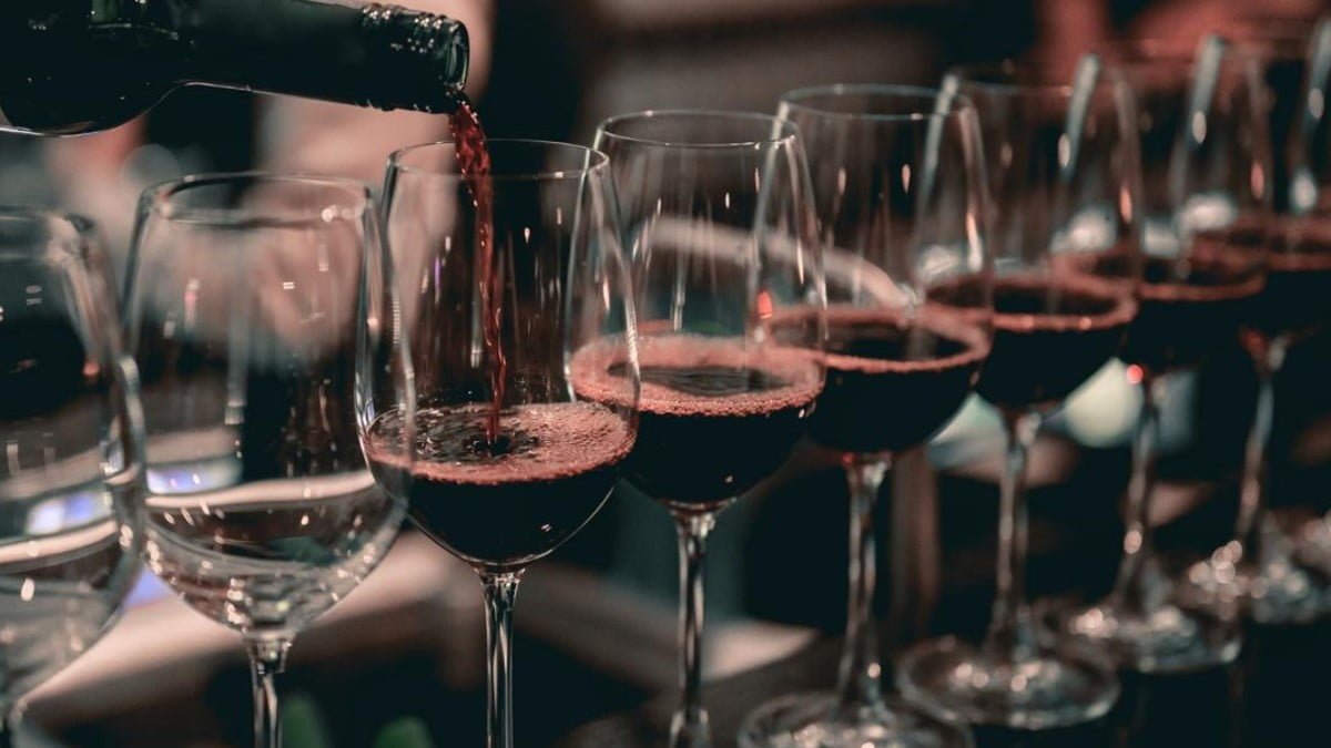 Llega la Noche de las Vinotecas, con degustaciones y descuentos de hasta el 50%: el mapa completo del mega evento del vino