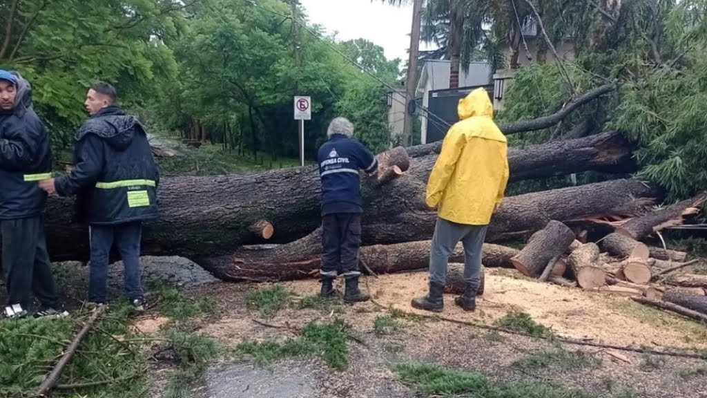 En Ituzaingó el temporal derribó más de 300 árboles y el municipio entró en emergencia.