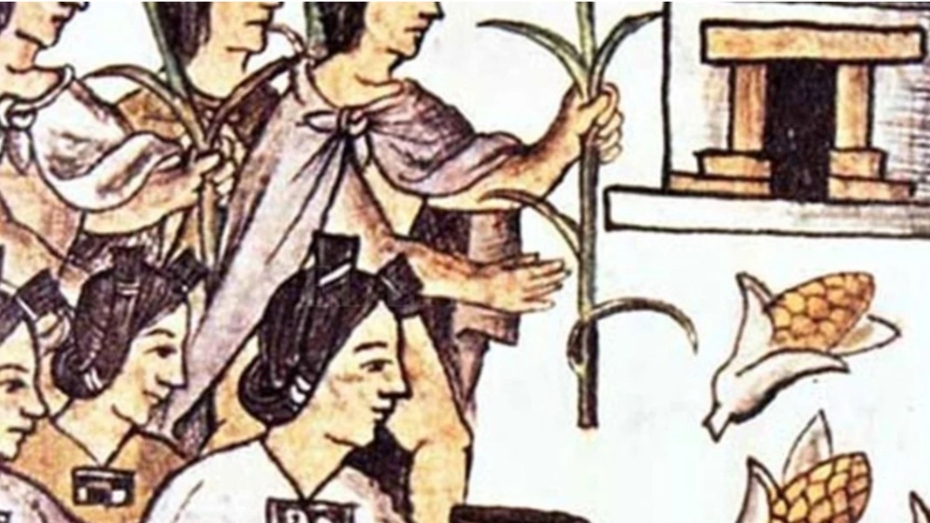 El maíz, producto fundamental en el locro, tuvo una ascendencia total en las culturas precolombinas.