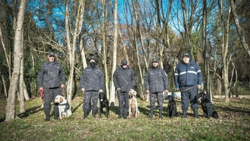 Escobar, División Canina