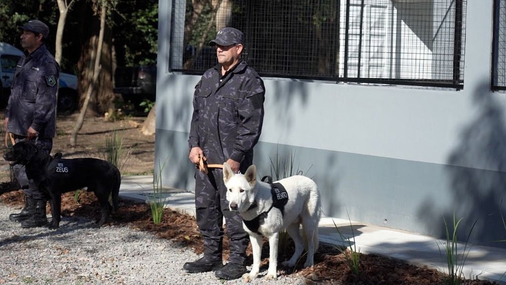 Escobar, División Canina