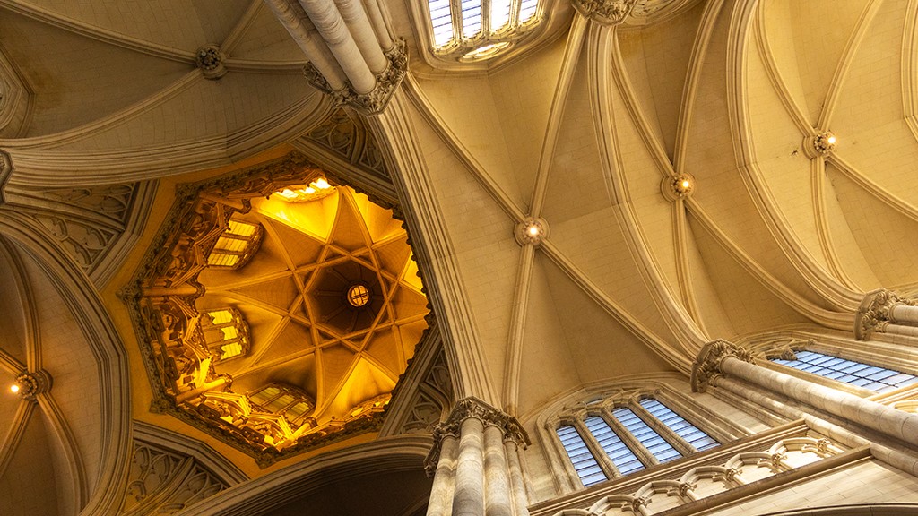 La Plata, Catedral