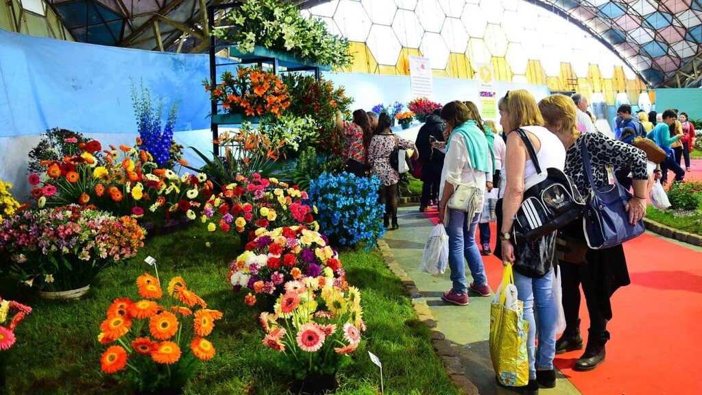 Fiesta de la Flor, Susana Giménez, Escobar