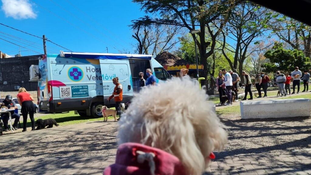 Tres de Febrero, Hospital Veterinario móvil