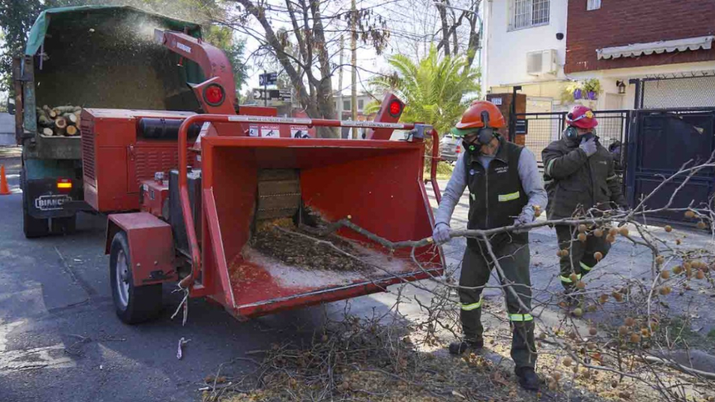 Poda en Vicente López