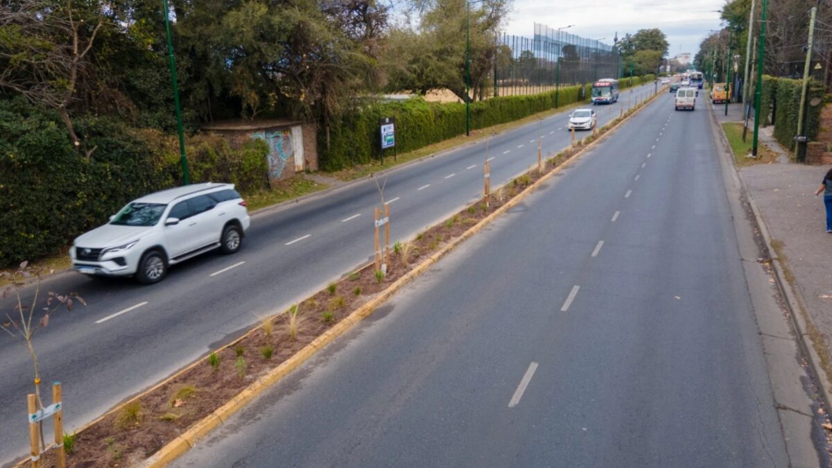 San Isidro, boulevard Márquez