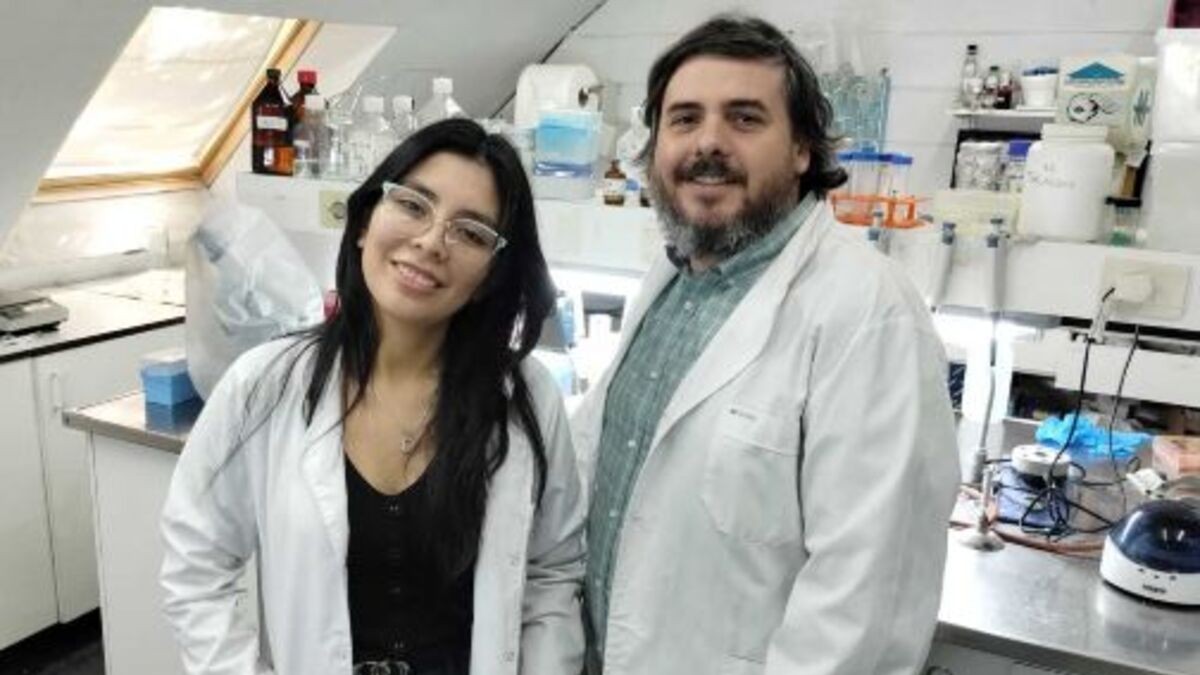 Universidad de San Martín, Universidad de Quilmes, asma, enfermedades respiratorias