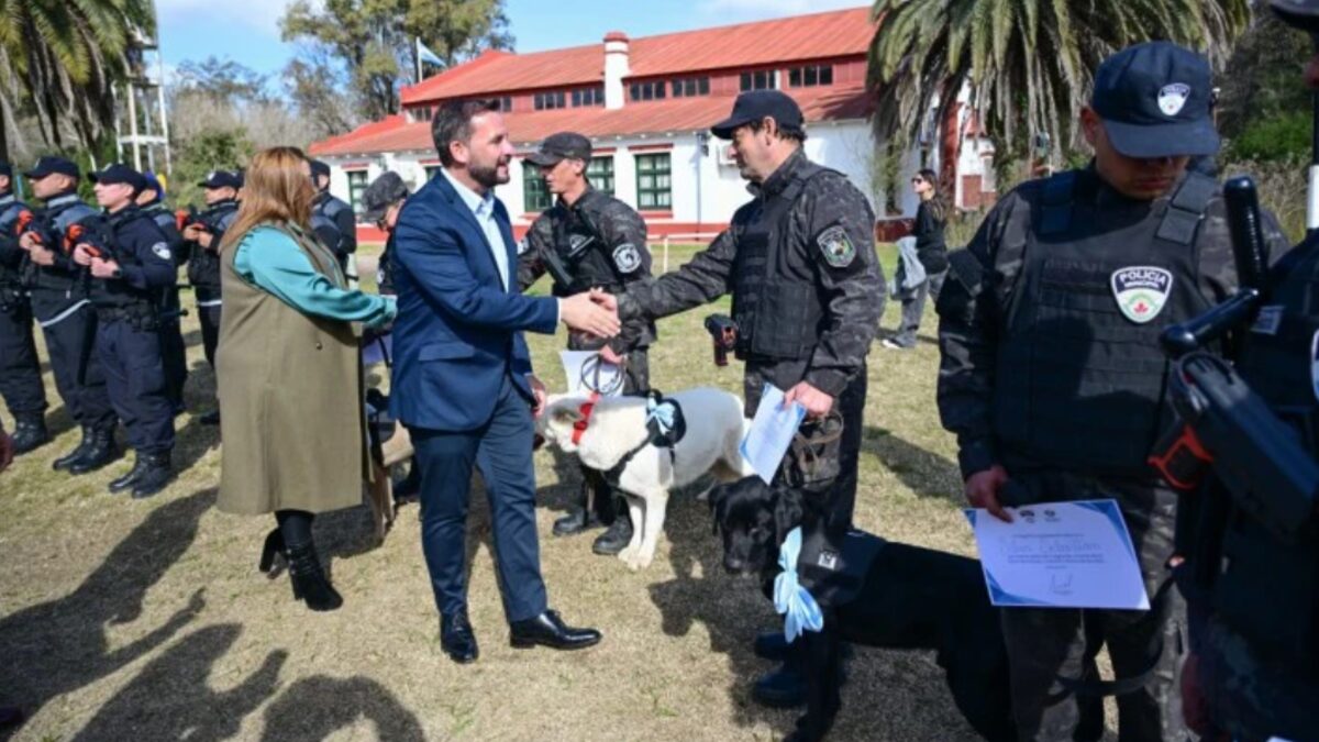 Escobar, seguridad