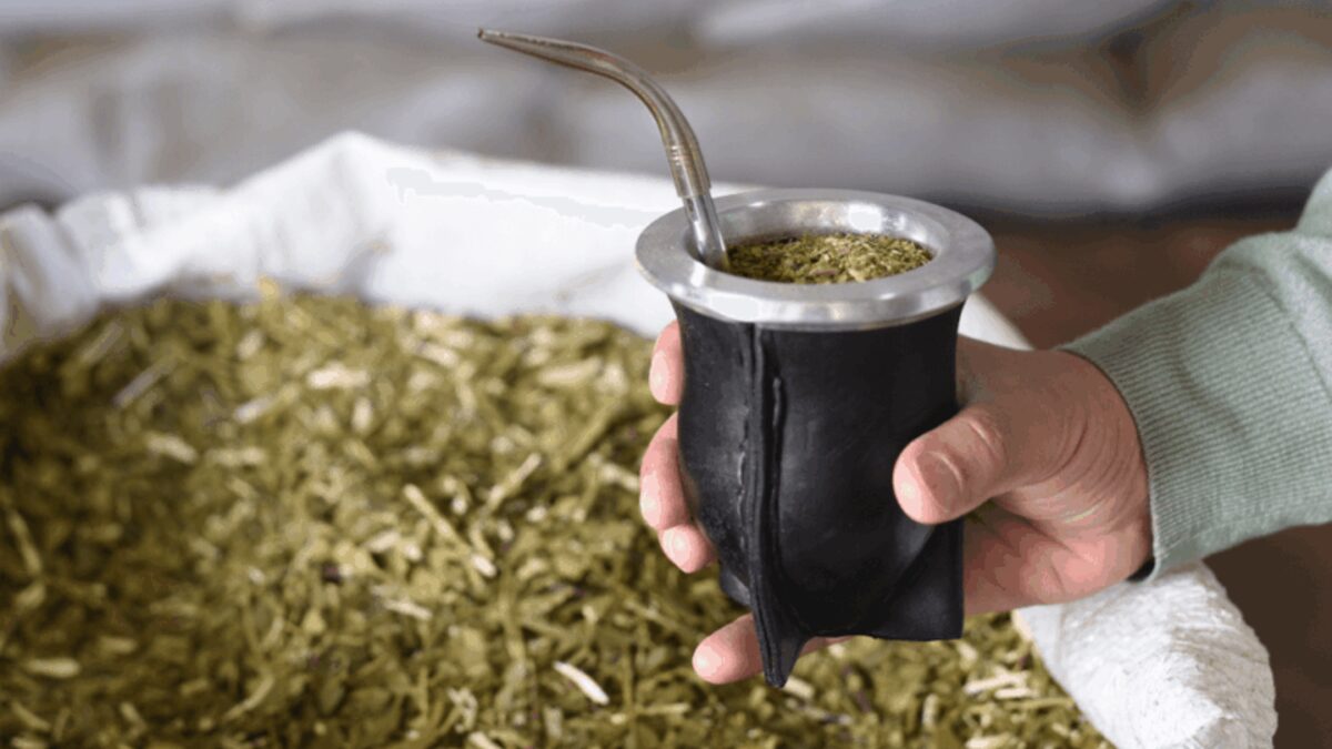 Universidad de Quilmes, yerba mate, heridas
