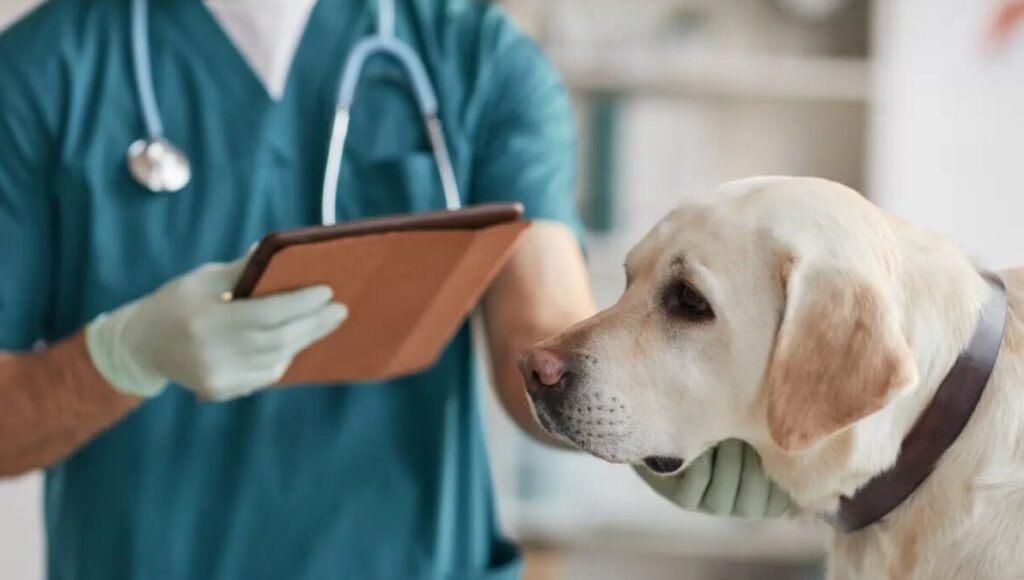 Monte Grande, Hospital Veterinario Municipal