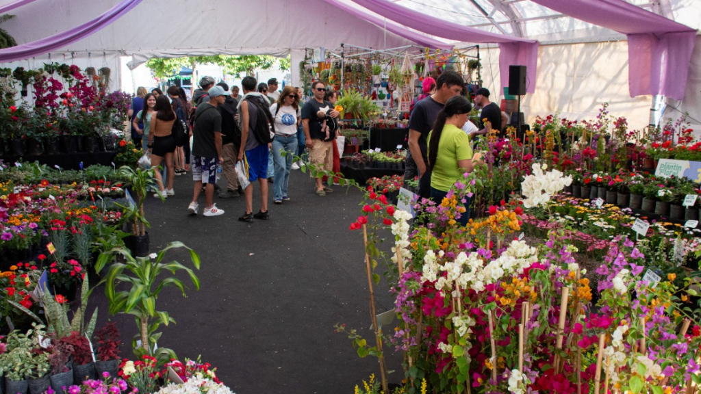 El mató a un policía motorizado cerrará los festejos del Día de la Primavera en la Plaza Buján de Moreno, que también tendrá la celebración de la Fiesta del Plantín Floral.