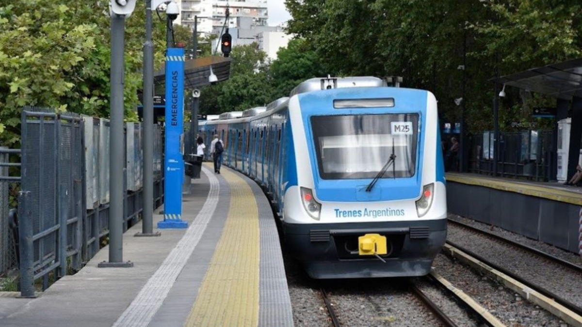 tren Mitre, ramal a Tigre