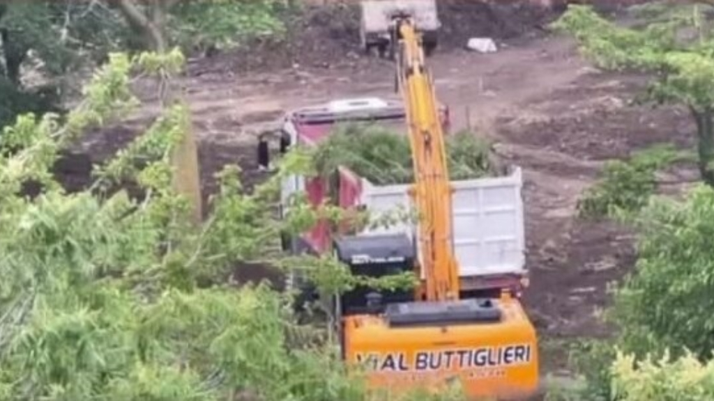El Bosque de Eucaliptus de Villa Bosch había empezado a ser talado para construir un vestuario pero la Justicia frenó los trabajos a pedido de la gente del barrio.