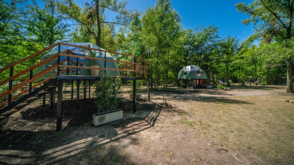 Moreno lanzó las actividades de verano en el Distrito Ecológico Roggero para este 2026. Las propuestas son muchas, y a precios accesibles.