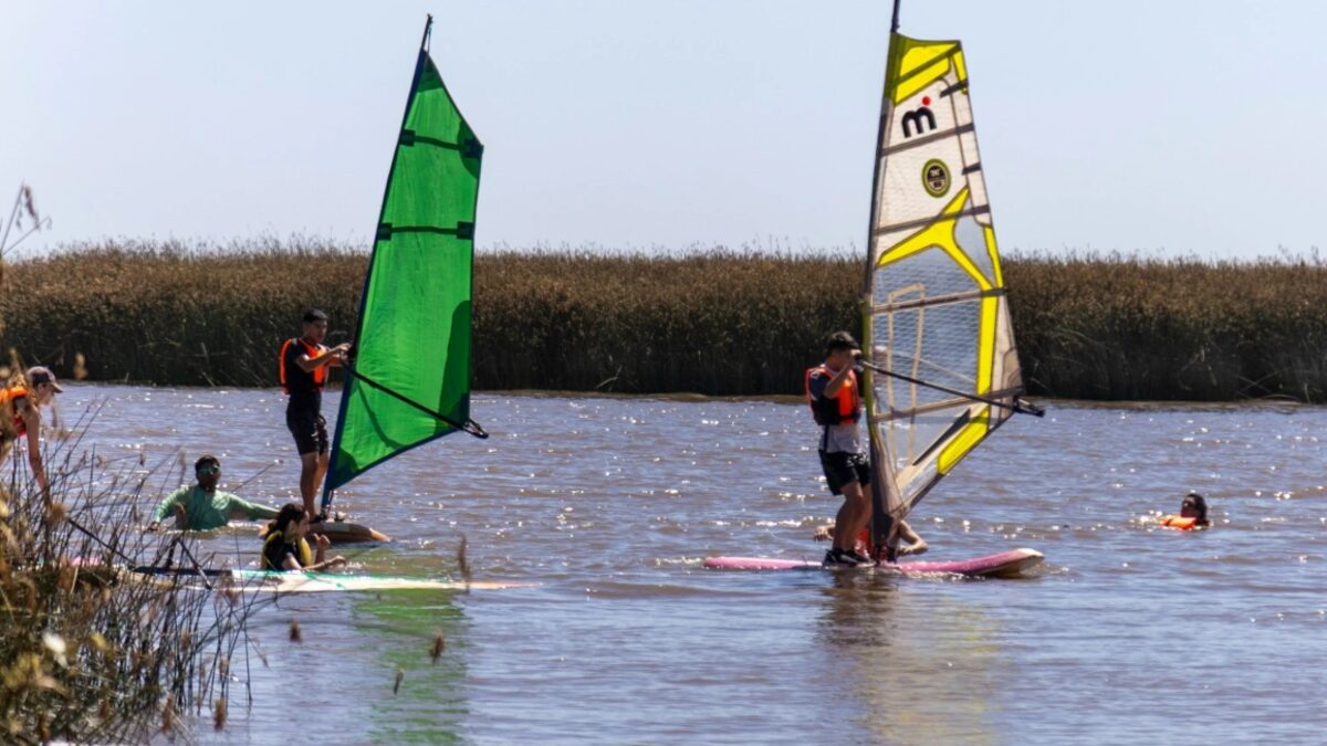San Isidro, colonias de verano