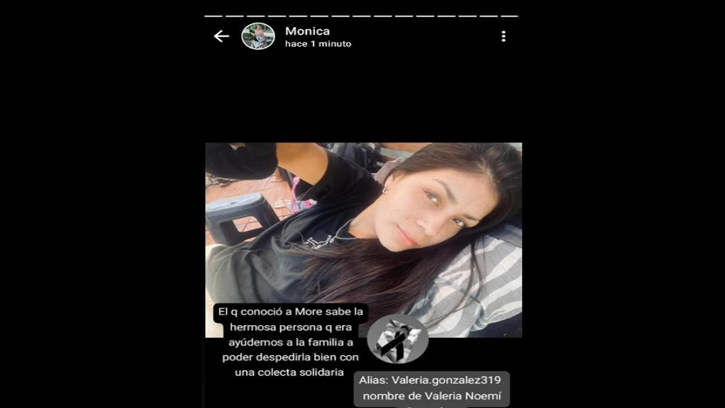 Redes sociales, Merlo, Morenea