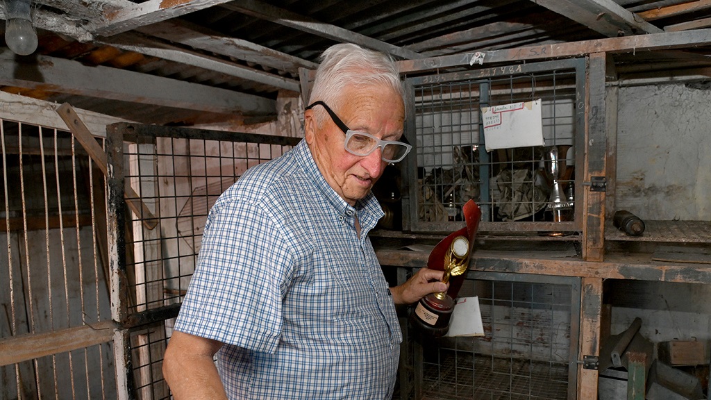 Benavidez, Tigre, vecino, palomas mensajeras, Pichi