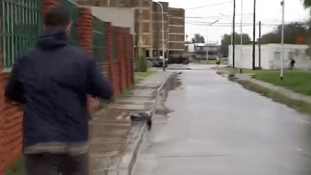 El periodista Fabián Rubino, de A24, fue asaltado esta mañana mienras cubría en vivo las inundaciones que provocó la tormenta en Dock Sud.