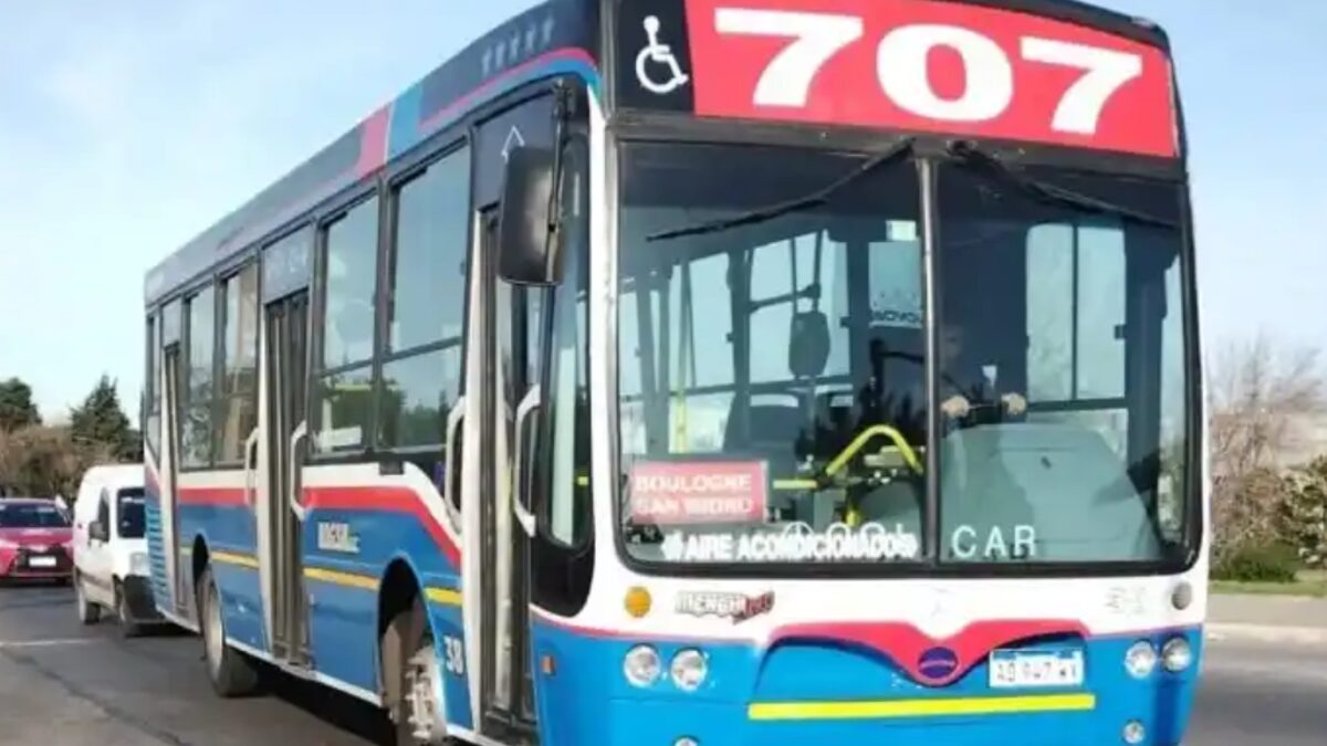 San Isidro, colectivos