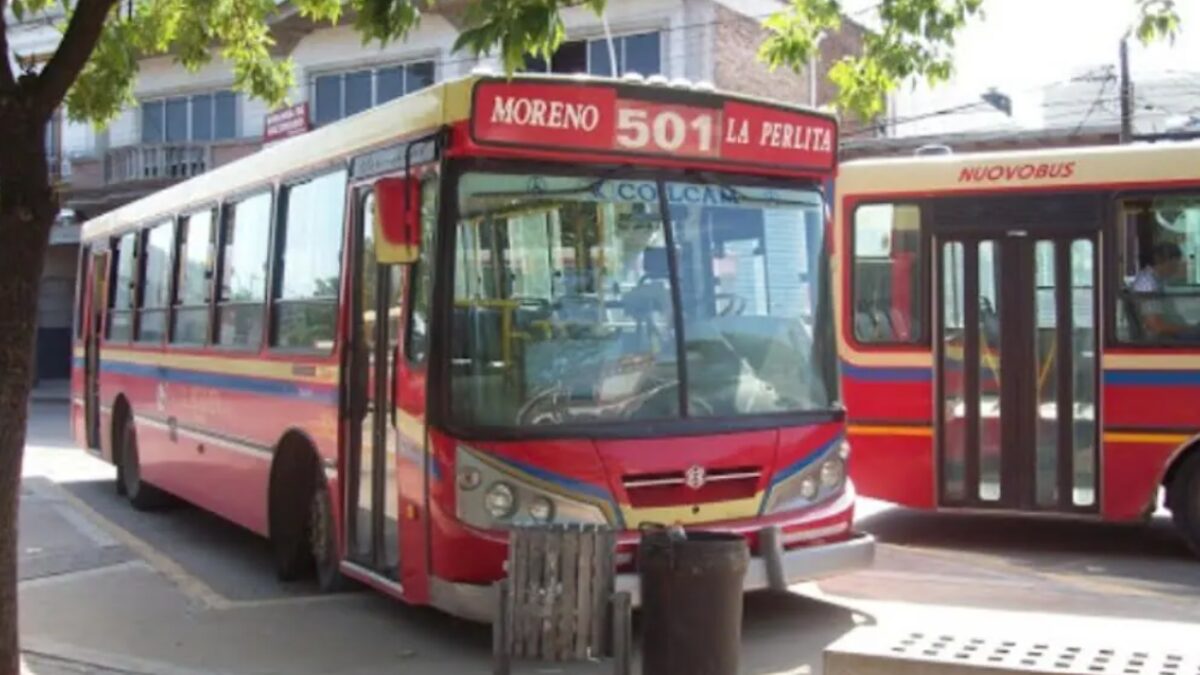 Moreno, sistema de transporte público