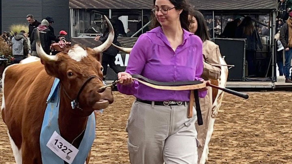 Yoli, la vaca de Lomas de Zamora que fue campeona en La Rural.
