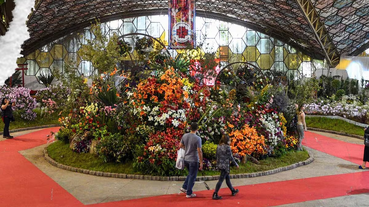 Buscan voluntarios para trabajar en la Fiesta Nacional de la Flor de Escobar.