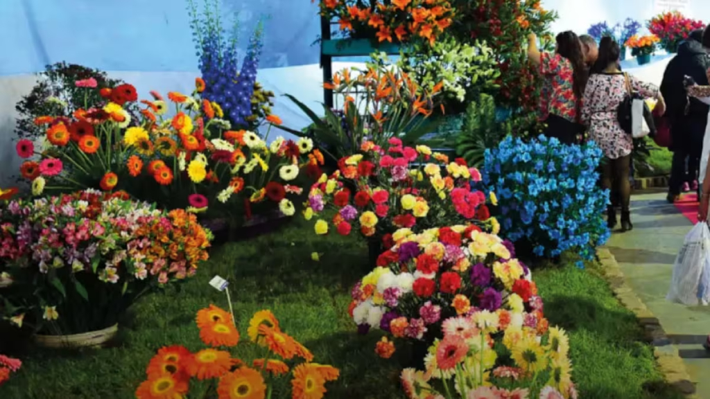 Buscan voluntarios para trabajar en la Fiesta Nacional de la Flor de Escobar.
