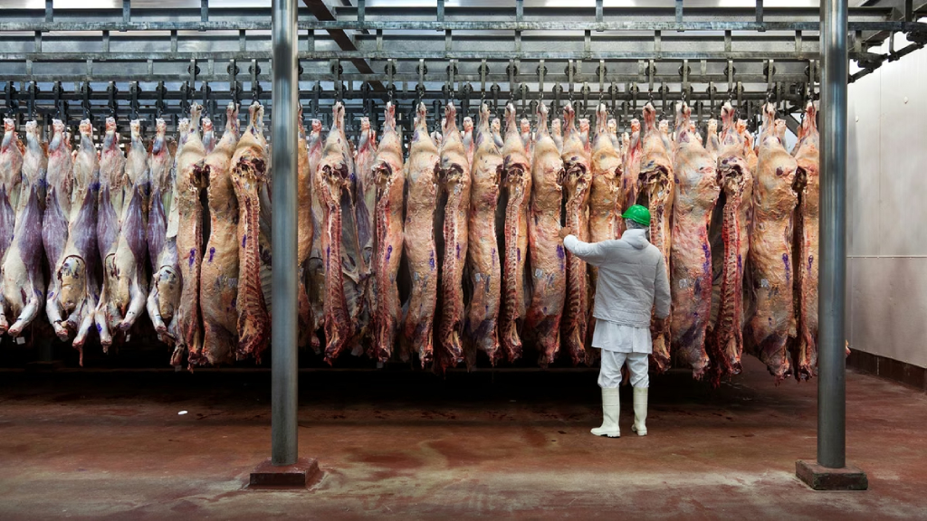 El friogrifíco Ecocarne de San Fernando atraviesa una situación compleja.
