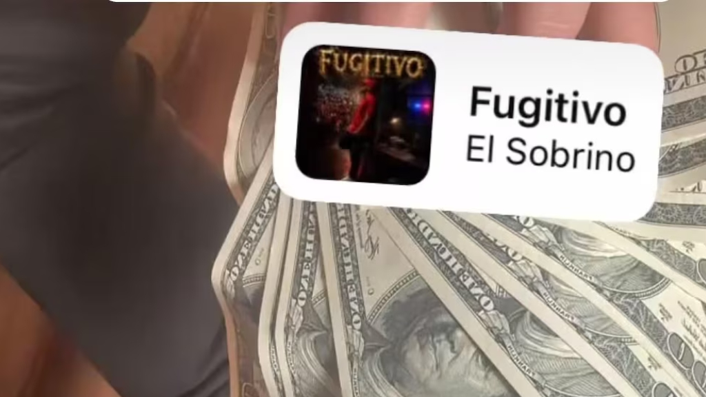 Cayó Eluney, la viuda negra de José C. Paz.