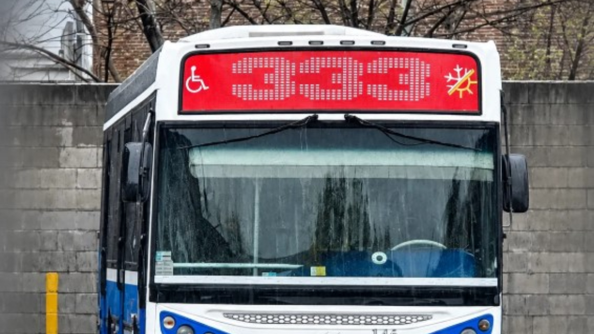 Línea 343, colectivos