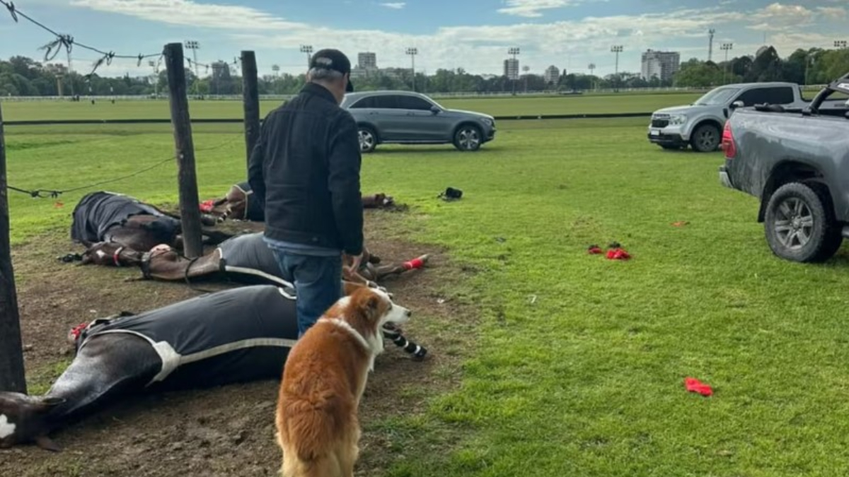 San isidro, Polo, tormenta.