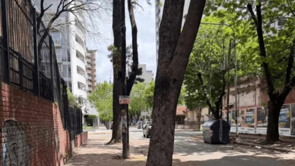 Quilmes, palta, tragedia